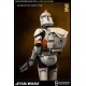 Star Wars Deluxe Action Figure 1/6 212th Clone Trooper Sideshow Exclusive 32 cm